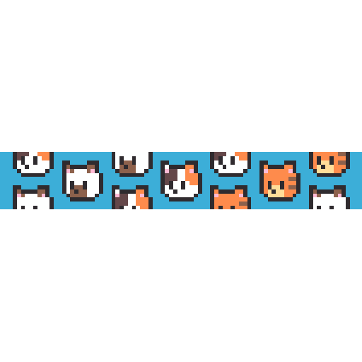 猫咪